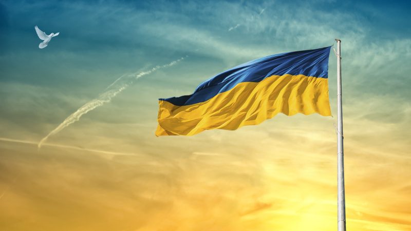 Ukrainas atbalstam