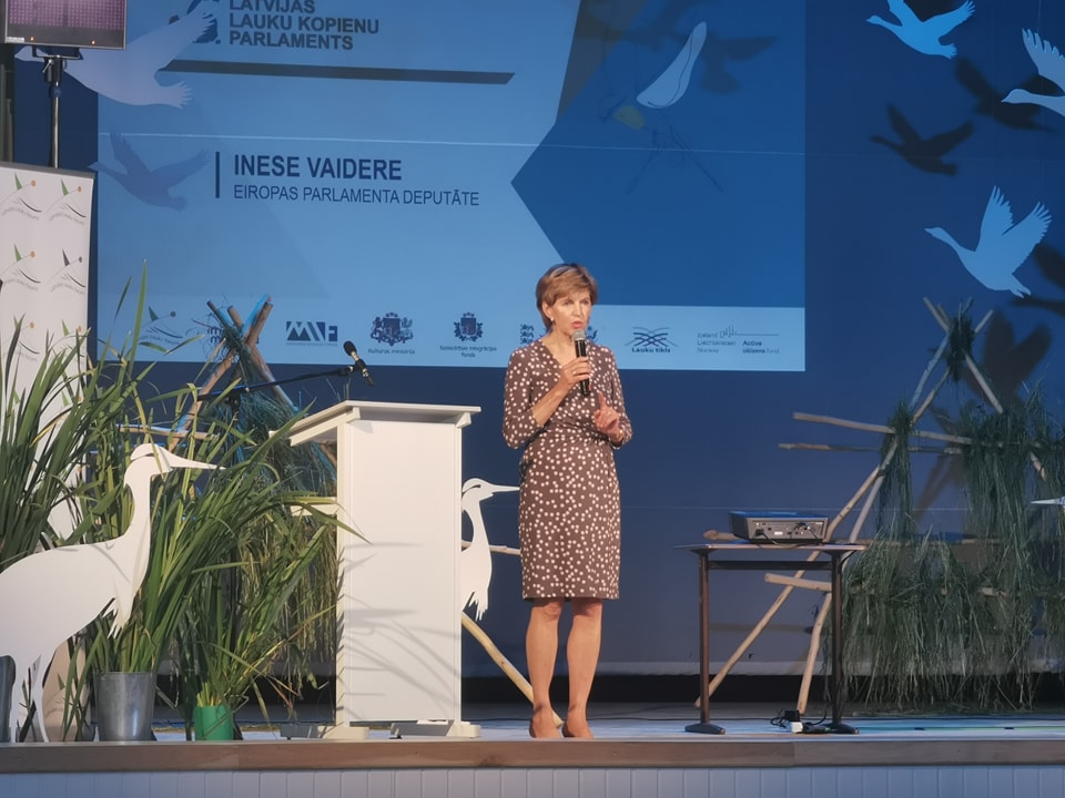 Inese Vaidere: 
