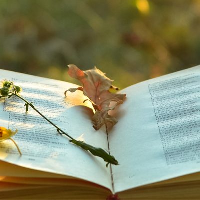 Saules vārdi pļavu smilgai