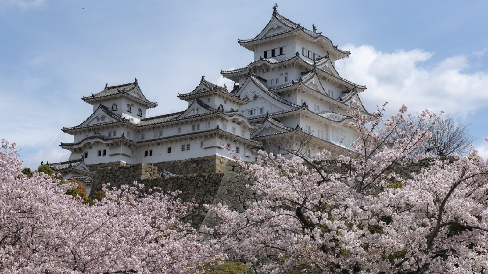 Pixaby, Nick115, Himeji Castle with blooming cherry blossoms in spring, Japan.
