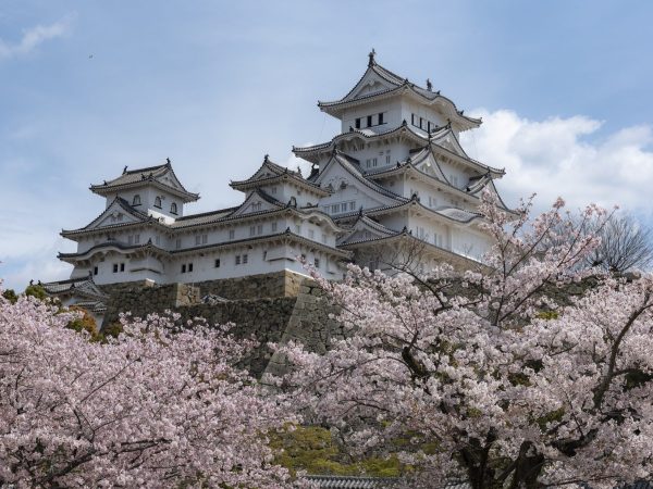 Pixaby, Nick115, Himeji Castle with blooming cherry blossoms in spring, Japan.